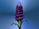 Digital Art - Flora - Egg Flower