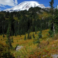 Photo - Places - Mt Rainier