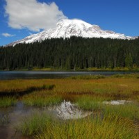 Photo - Places - Rainier Reflection