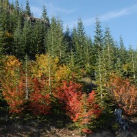 Photo - Places - Fall Colors